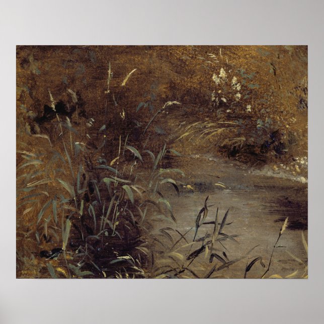 Póster John Constable | Rushes por Piscina, c.1821 (óleo  (Frente)