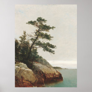 Poster John Frederick Kensett Old Pine Landscape Impressã