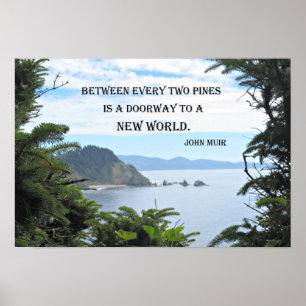 Poster John Muir: "Entre cada dois pinheiros está uma por