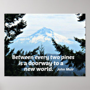 Póster John Muir: "Entre cada dois pinheiros está uma por