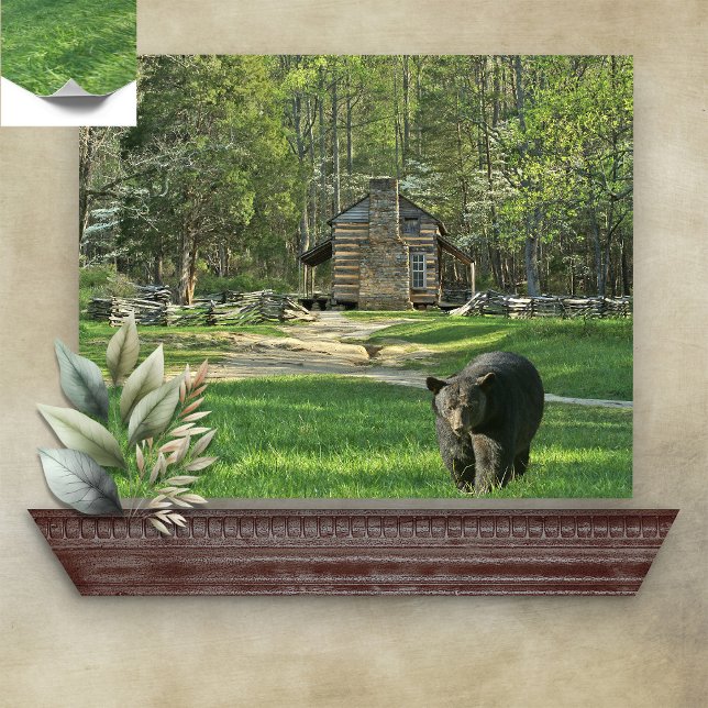 Poster John Oliver Black Bear Cabin (Criador carregado)