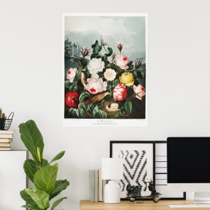 Poster John Thornton Rosas do Templo da Flora