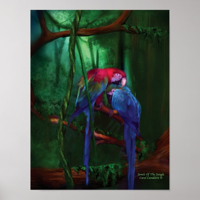 Póster Joias Da Arte Selvagem Poster/Impressão (Frente)