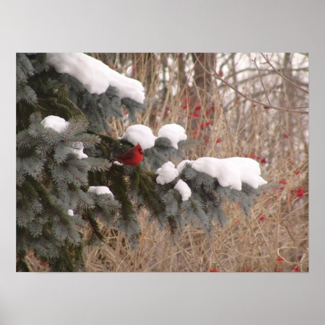 Poster Joias entre árvores (Frente)