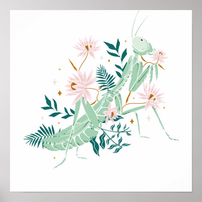 POSTER JOLIE SAUTERELLE (Frente)