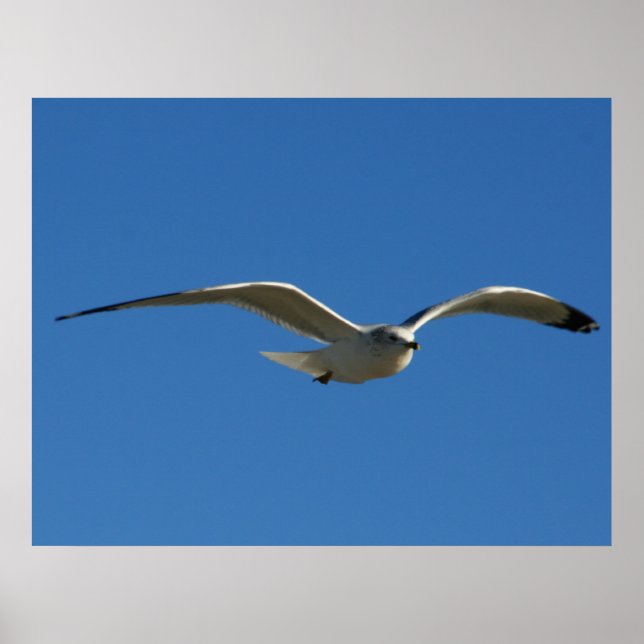 Poster Jonathan (Frente)