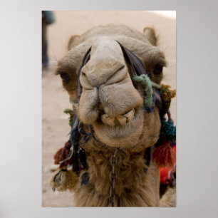 Poster Jordânia, antiga cidade nabateia de Petra. Local