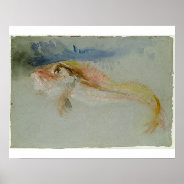 Póster Joseph Mallord William Turner | A Gurnard (Frente)
