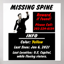 Josh Hawley Missing Spine