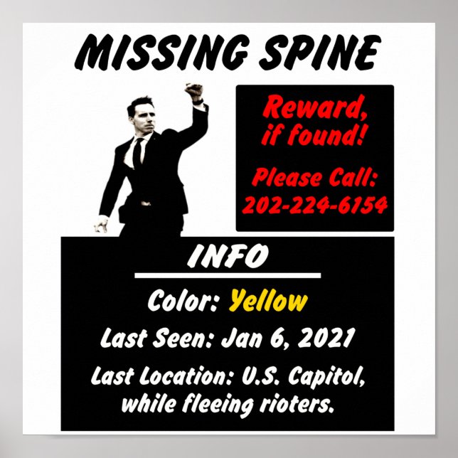 Poster Josh Hawley Missing Spine (Frente)