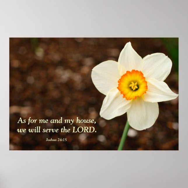 Póster Joshua 24:15 Bíblia Verse Daffodil (Frente)