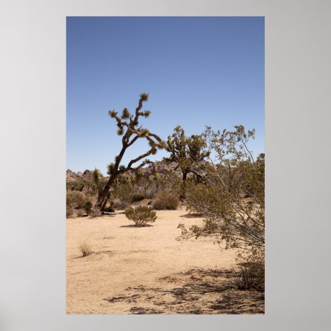 Poster Joshua Tree (Frente)