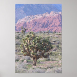 Póster Joshua Tree