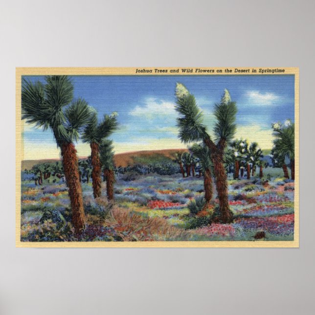 Póster Joshua Trees e Flores Selvagens do Deserto (Frente)