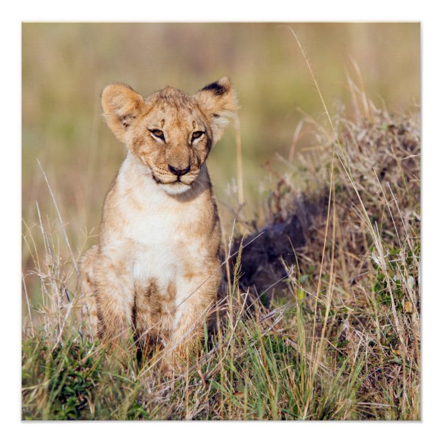 Póster Jovem (Frente)