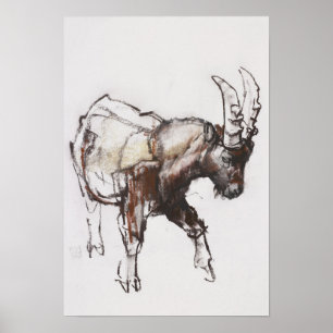 Poster Jovem Ibex Gran Paradiso 2005