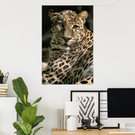 Poster Jovens Presentes de Arte de Leopardo