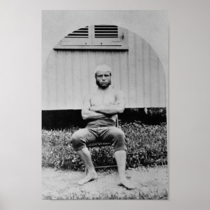 Poster Jovens Ursinhos Roosevelt Sem Camisa - 1879