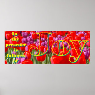 Póster Joy