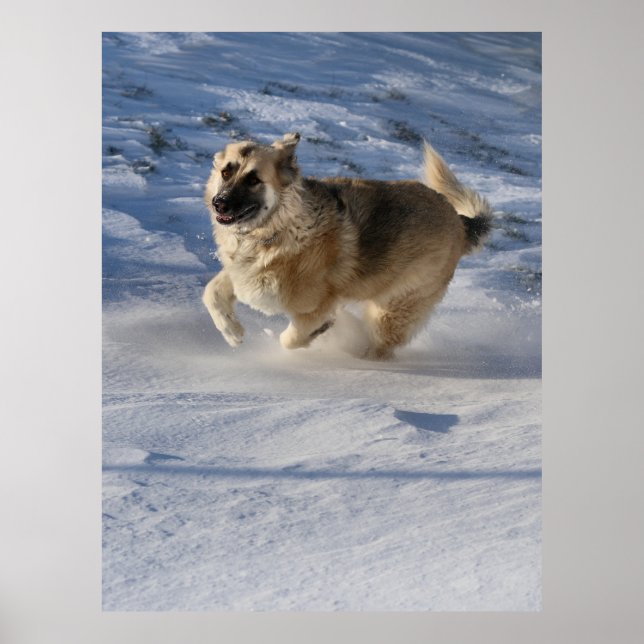 Poster Joy em movimento (Frente)