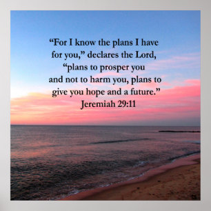 PÓSTER JOYFUL JEREMIAH 29:11 SOL