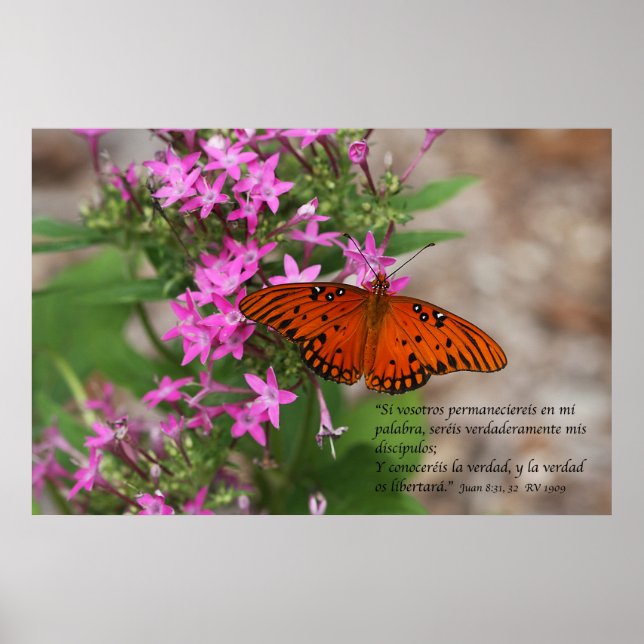 Poster Juan 8:31, 32 con Mariposa Golfo Fritillary (Frente)