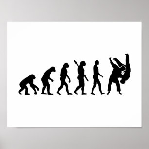 Póster Judo da evolução