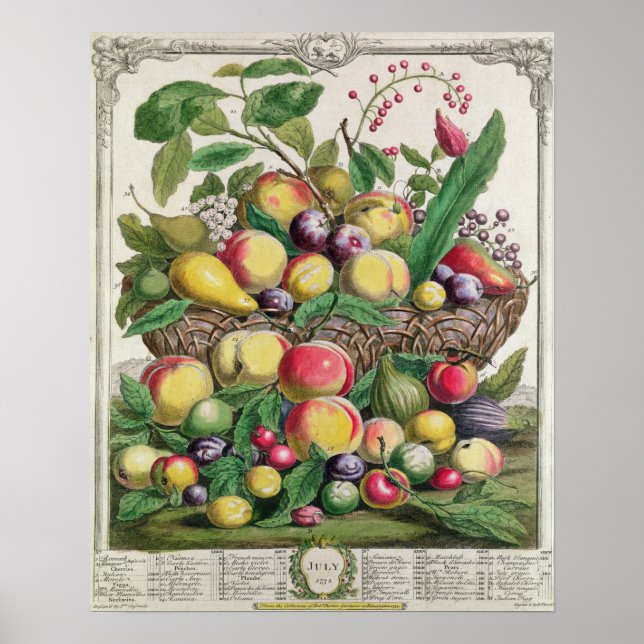 Póster Julho, doze meses de Fruta (Frente)