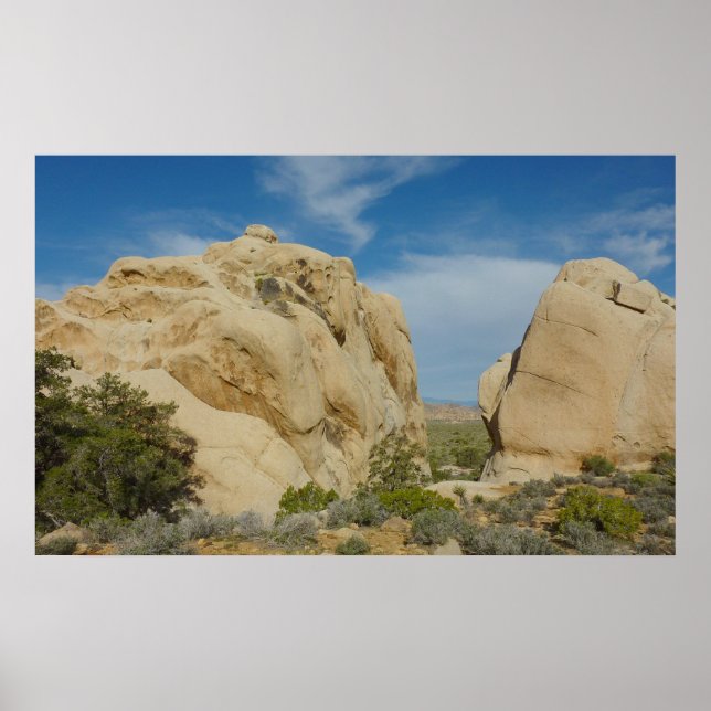 Póster Jumbo Rocks no Parque Nacional Joshua Tree (Frente)