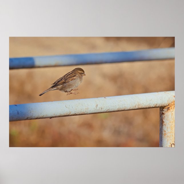 Poster Jump (Frente)