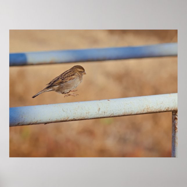 Poster Jump (Frente)