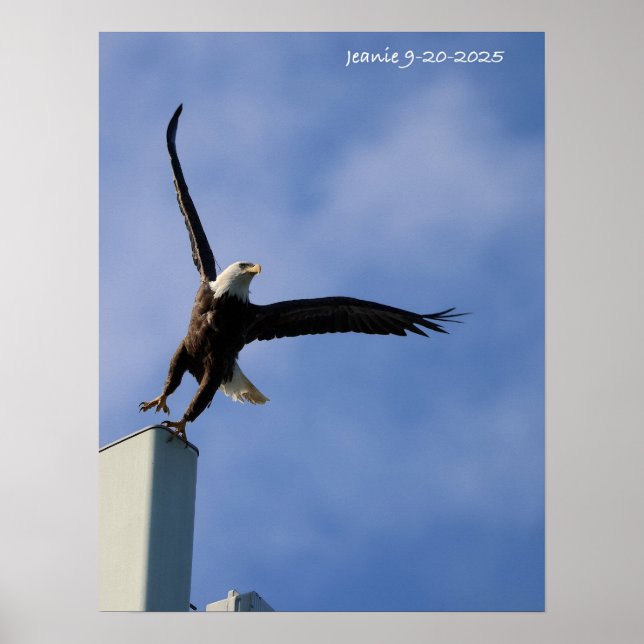 Poster Jumping Eagle (Frente)