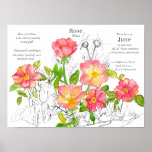 Poster Jun Birthday Wild Rosas Honeysuckle Flores