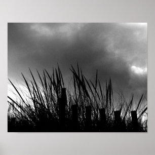 Póster Junco