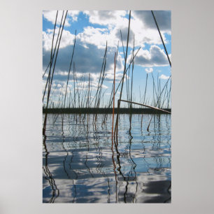 Poster Juncos no Lago Rice – Península Superior