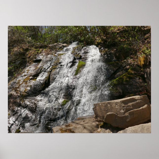 Poster Juney Whank Falls at Smoky Mountains (Frente)