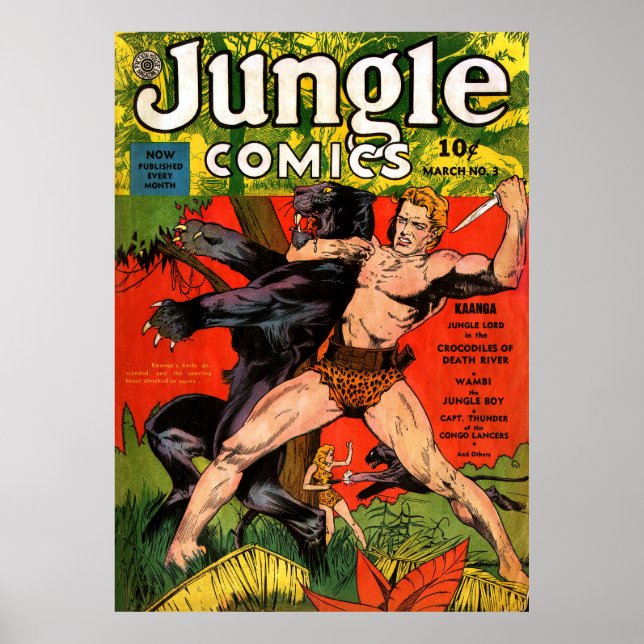 Poster Jungle Tarzan & Black Panther Histórias em quadrin (Frente)