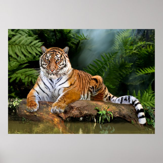 POSTER JUNGLE TIGER (Frente)