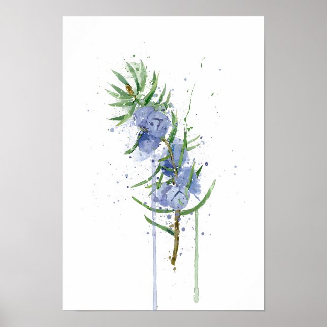 Poster Juniper (Frente)