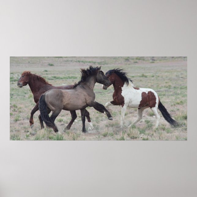 Póster Juntando-se (Frente)