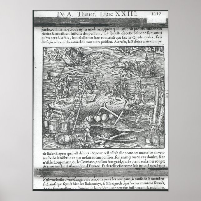 Poster Juntando uma baleia (Frente)