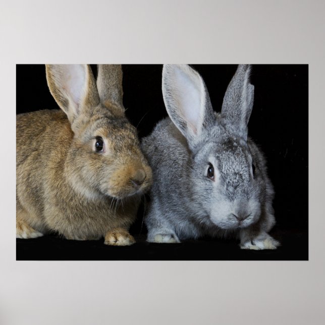 Poster Juntos (Frente)