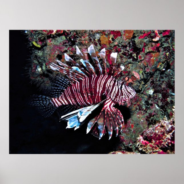 Poster Jupiter Invader (Frente)