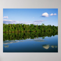 Juruena, Brasil. Margem florestal do rio refletida
