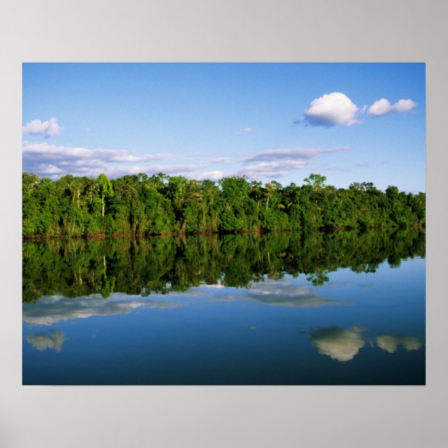 Póster Juruena, Brasil. Margem florestal do rio refletida (Frente)