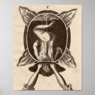 Poster Justine Siegemund Court - Ilustração de Nascimento