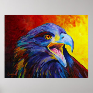 Póster Juvenile Bald Eagle Print - by Corina St. Martin