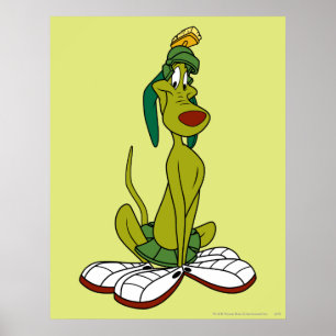 Poster K9 Sorria