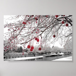 Póster K&K Winter Berry