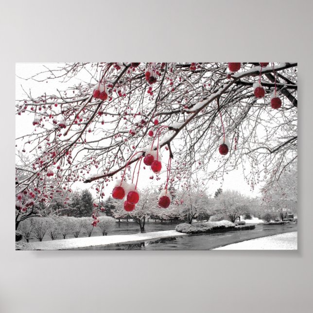 Póster K&K Winter Berry (Frente)